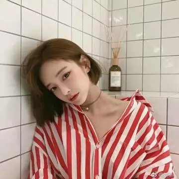 鹊刀门传奇